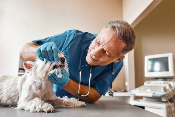 Best Emergency Root Canal Treatment in Quakertown, PA